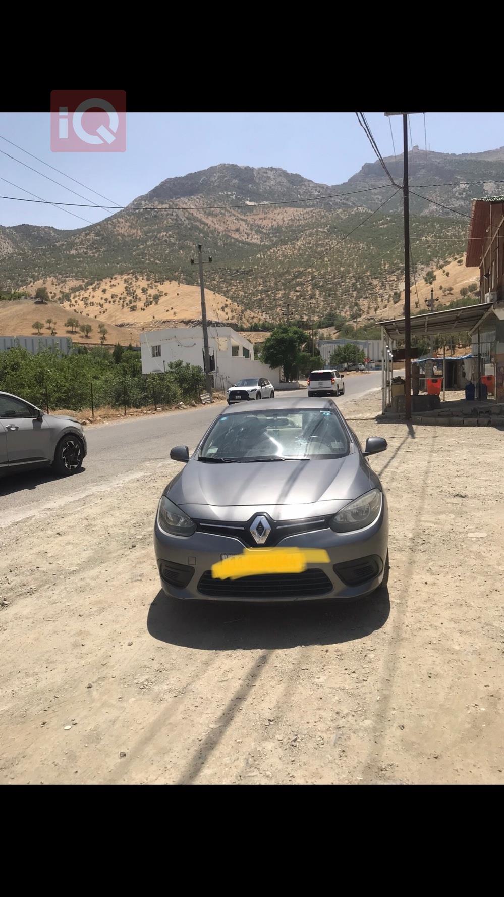 رينو فلوينس